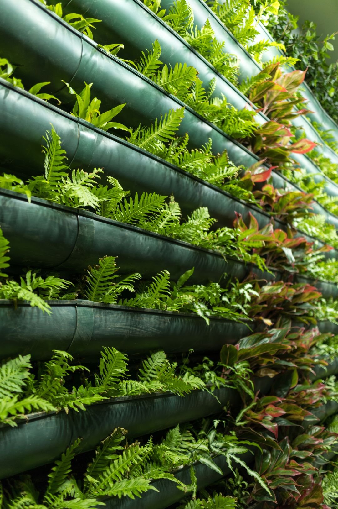 Urban Farming Mineral Wool